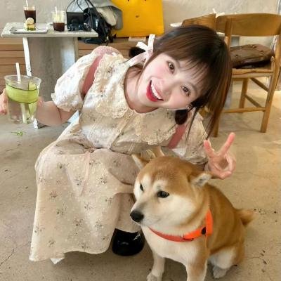 大理寺日志第二季